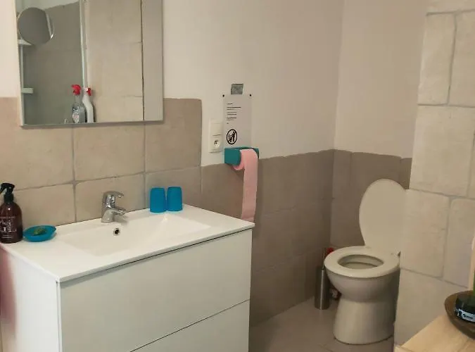 公寓 Apartment, By The Canal L Est,river Coney Vosges France *