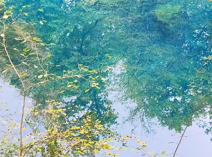 Apartment, By The Canal L Est,river Coney Vosges France 公寓 *