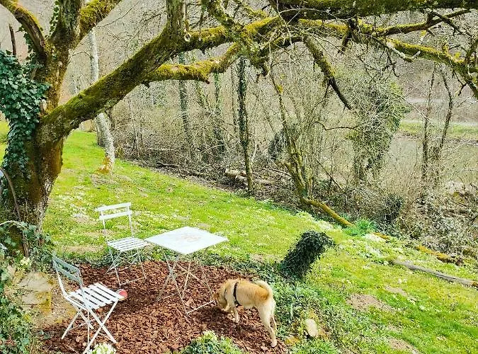 Apartment, By The Canal L Est,river Coney Vosges France 公寓