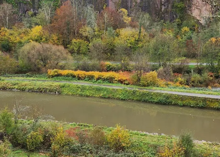 Apartment, By The Canal L Est,river Coney Vosges France *