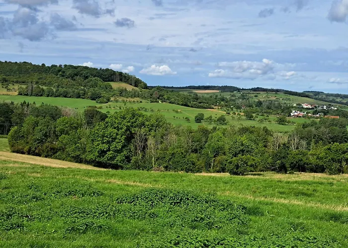 Apartment, By The Canal L Est,river Coney Vosges France
