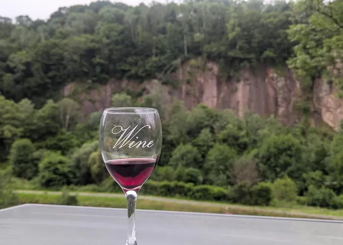 Apartment, By The Canal L Est,river Coney Vosges France 公寓